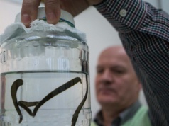 Pseudomedycyna do sądu? Samorząd lekarzy ma dość. Oburza się na rząd, punktuje RPP