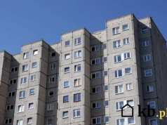 To już się dzieje w Europie. Takich mieszkań i domów już nie wolno wynajmować