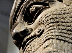 Dunin: Oko kosmity i asyryjskie lamassu