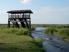 Drewniane kładki, wieże widokowe i Narew. Ten park narodowy wciąż jest niedoceniany. A szkoda
