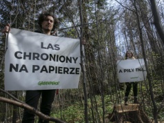 EUDR opóźnia się. Polityczne gierki, a lasy na świecie płacą za to…