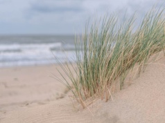 Tragiczna śmierć 17-latka na plaży. 40 minut wykopywano go z piasku