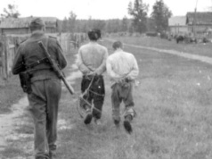 13 lipca 1943 r. Niemcy rozpoczęli w Puszczy Nalibockiej operację Hermann
