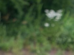 Sparingowe granie w czwartej lidze. Po weekendzie zadowoleni mogą być kibice Hetmana Zamość
