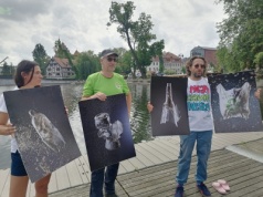 Wielkie sprzątanie na brzegach rzek. 1 sierpnia zaczyna się akcja „Czysta Wisła”
