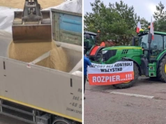Masowy import z Ukrainy? Rolnicy ostrzegają: nowe przepisy to umożliwią