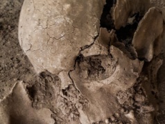 Wielkie badania DNA pokazują historię ludzkich chorób z ostatnich 37 000 lat