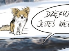 Nie ruszyła się z miejsca. Chihuahua ocaliła życie swojemu panu