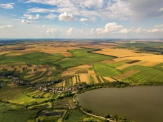 Dopłaty bezpośrednie i obszarowe 2025 – najwięcej rolników złożyło wnioski na Mazowszu i w Wielkopolsce!