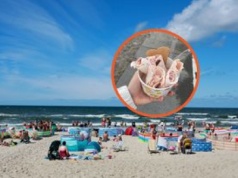 Pojechałam nad polskie morze. Tyle wydałam na porcję lodów