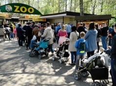 Polskie zoo powitało uroczego malucha. To rzadki i zagrożony gatunek. Lepiej do niego nie podchodzić