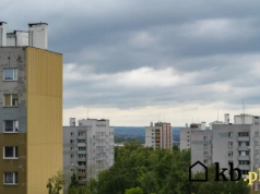 AI przewiduje przyszłość wielkiej płyty. Jeden z możliwych scenariuszy to katastrofa