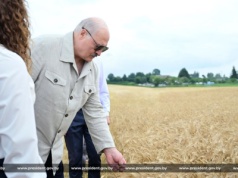 “Kradną, co mogą”. Łukaszenka wini rolników o chude żniwa