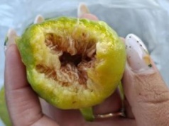 Mężczyźni powinni jeść na kilogramy. Wspiera potencję jak niebieska tabletka