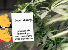 Projekt depenalizujący marihunę jest już gotowy, dopuszcza posiadanie 15 gram lub jednego krzaczora