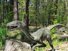 Kość sprzed 225 mln lat burzy teorię o początkach dinozaurów
