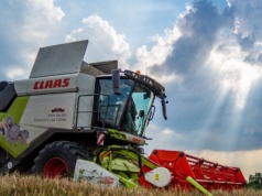 Żniwa 2025 — jak wpłynie na nie pogoda?