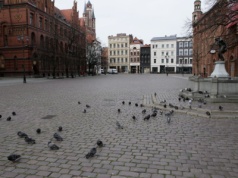 Przylecieli z USA. Zobaczyli Kraków, Warszawę i Wrocław, ale to inne miasto skradło im serce