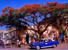 Peugeot 404 stał się w tym mieście legendą. Poznajcie Dire Dawa