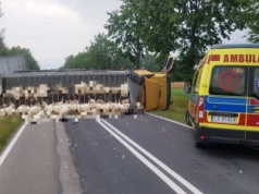 BMW wjechało pod ciężarówkę wiozacą indyki. Zginęła kierująca autem kobieta