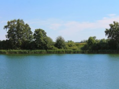 Archeolodzy odnaleźli 1000-letnią twarz w polskim jeziorze. Sensacja w Wielkopolsce
