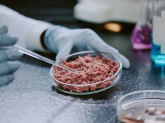Londyński startup produkuje mięso z probówki. Są pierwsi w Europie