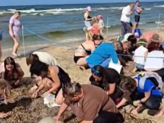 Tłum turystów grzebał w piasku na bałtyckiej plaży. To prawdziwa gorączka