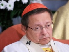 ​Mocny głos. kard. Rysia ws. migrantów i pedofilii w Kościele
