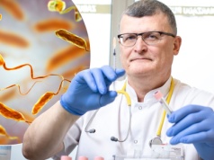 Zmiana klimatu spowoduje pojawienie się nowych chorób w Polsce? Ekspert nie ma wątpliwości