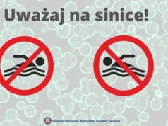 Uwaga sinice i nie tylko! To na tych kąpieliskach są czerwone flagi