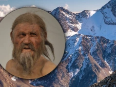 Przeanalizowali DNA prehistorycznego „Człowieka Lodu”. Oto, co odkryli