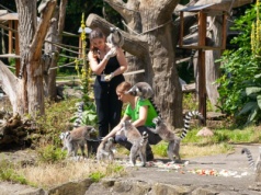 Zabezpieczone: Zwiedziłeś już ZOO Wrocław? Wybierz się również do łódzkiego ZOO i odwiedź Orientarium.