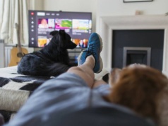 Psy oglądają telewizję. Mają nawet preferencje co do treści