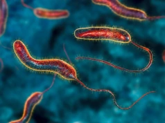 Cholera. Jak wyglądają objawy choroby? Nie tylko biegunka