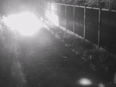 Koktajle Mołotowa, kamienie i błyskawiczny szturm! Migranci szkoleni przez Białorusinów forsują granicę w kilka minut!