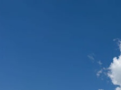 Wycięli drzewa przy remoncie ulicy lata temu. Dzisiaj brakuje zieleni?
