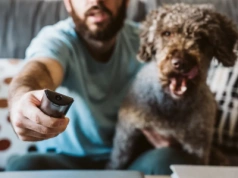 Dlaczego niektóre psy kochają telewizję? Odpowiedź może cię zaskoczyć