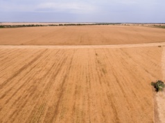 Oligarcha przejął kolejne przedsiębiorstwo rolne. Ile ma już ziemi?