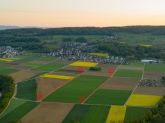 Jakie podatki i opłaty grożą za posiadanie i sprzedaż nieruchomości w 2025?
