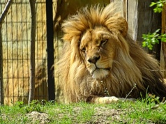 Wracamy do opolskiego zoo. Jest jeszcze lepiej!