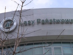 Byli dyrektorzy Lasów Państwowych oskarżeni. W tle zatrudnienie Mateckiego