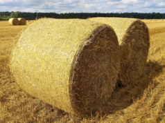 Składowanie bel słomy. Tych zasad lepiej nie łamać, bo grozi kara