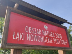 Mężczyzna zaatakował kobietę w rejonie Łąk Nowohuckich. Sprawę prowadzi policja