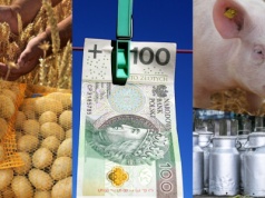 Niestety, ceny skupu spadły. Ile płacili za zboża, żywiec, ziemniaki i mleko?
