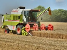 Żniwa 2025. Rolnicy dopłacą potężne pieniądze. Padły liczby