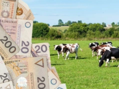 Rolnicy mają tydzień na złożenie dokumentów do ARiMR. Inaczej stracą dopłaty