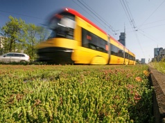 Nowe tramwaje dla Warszawy. Oferty złożyła Škoda i Hyundai