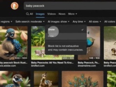 Przeglądarka DuckDuckGo pozwala teraz ukrywać obrazy generowane przez AI