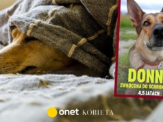 Po latach w domu wraca do boksu. Łatka 