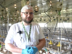 Brojler przyszłości rośnie tu. Bez antybiotyków, bez strachu, z laboratoryjną precyzją